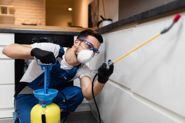 Best Mosquito Control Services  in Smithers, WV