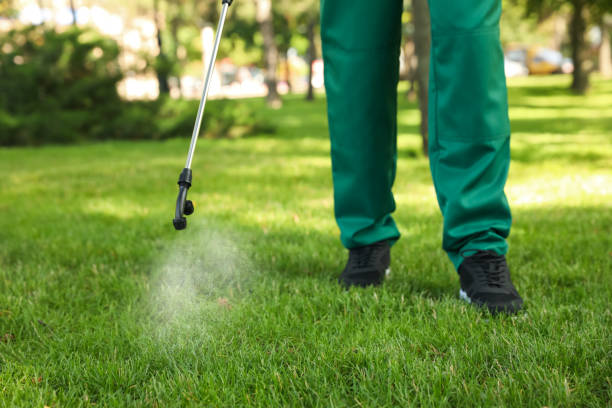 Best Residential Pest Control  in Smithers, WV