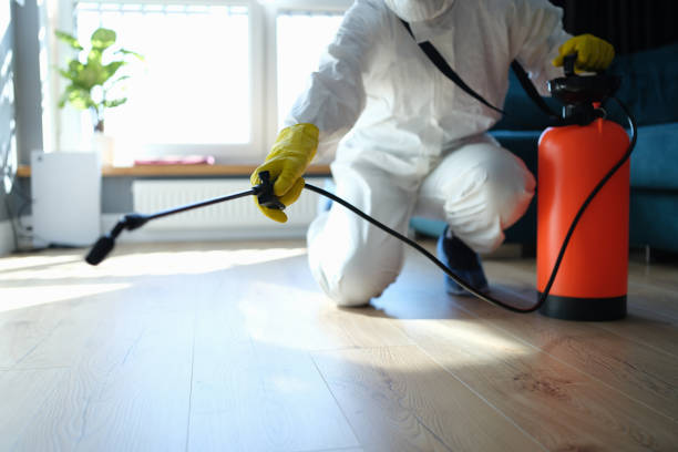 Best Flea Control Services  in Smithers, WV