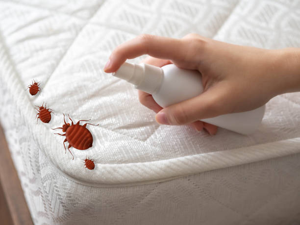 Best Cockroach Control Services  in Smithers, WV